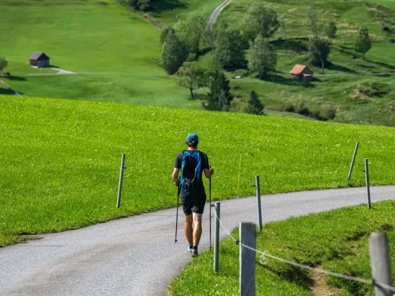 Teilnehmer mit Wanderstöcken auf einem Weg durch Alpwiesen.